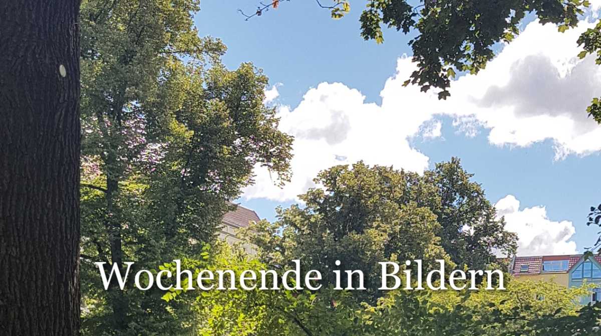 Lebensbilder statt Krankheitsbild #161 mit Wochenende in Bildern