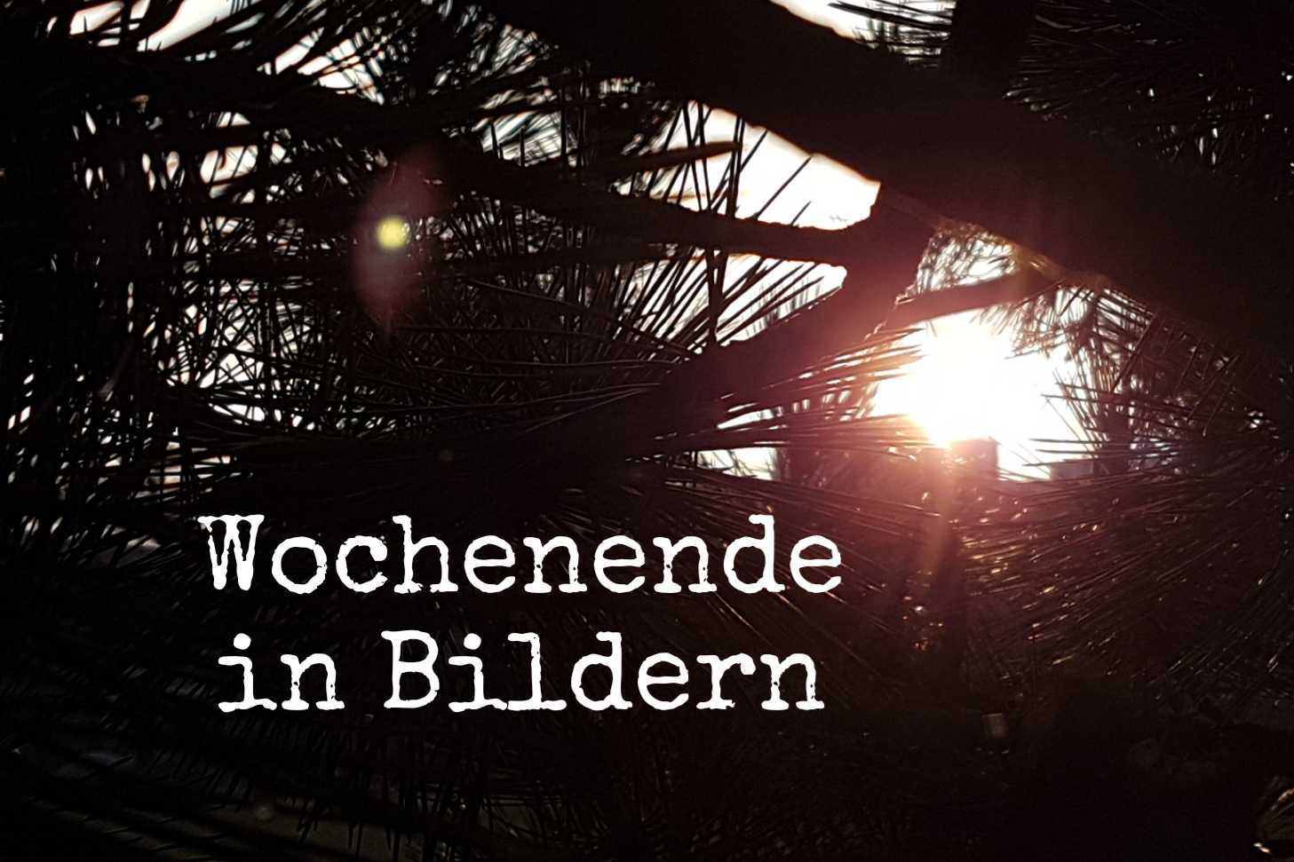 Lebensbilder statt Krankheitsbild #150 mit Wochenende in Bildern