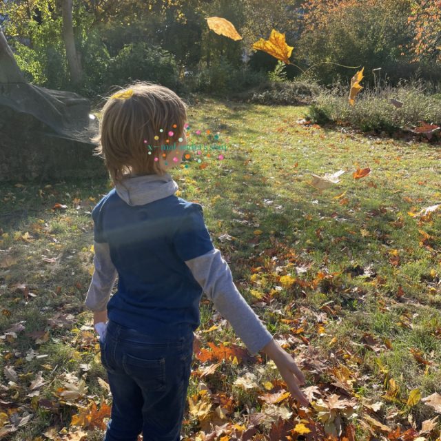 Junge im Park, der fliegende Blätter betrachtet