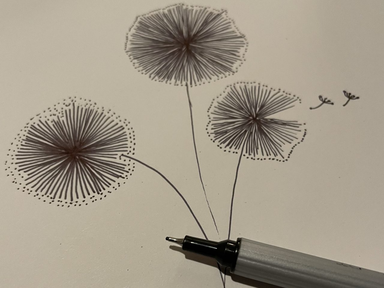 Zendoodle mit drei Pusteblumen und zwei Schirmchen. Dazu ein schwarzer Stift 