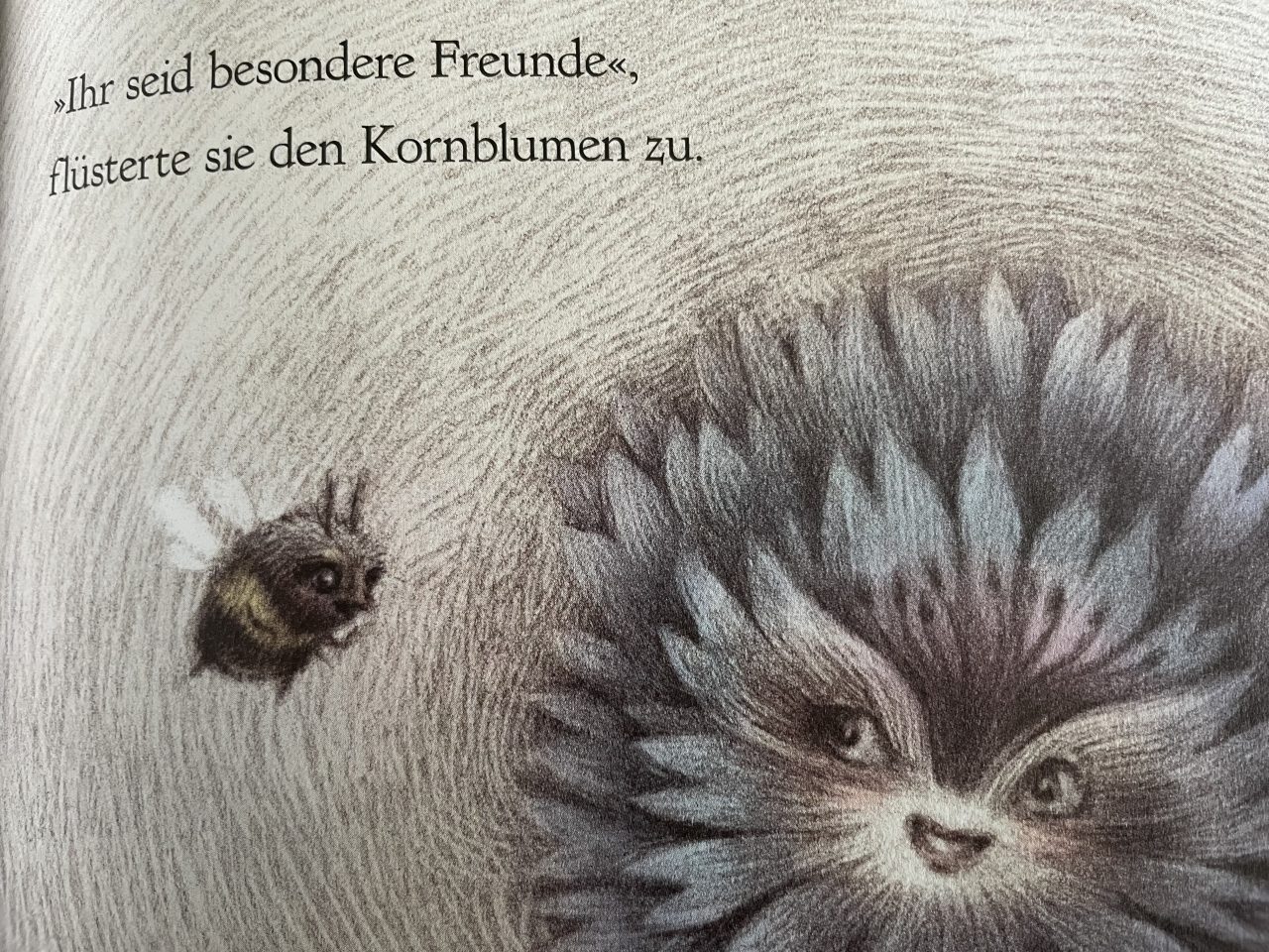 Kornblume und fliegende Hummel - gezeichnete Illustration mit Schrift