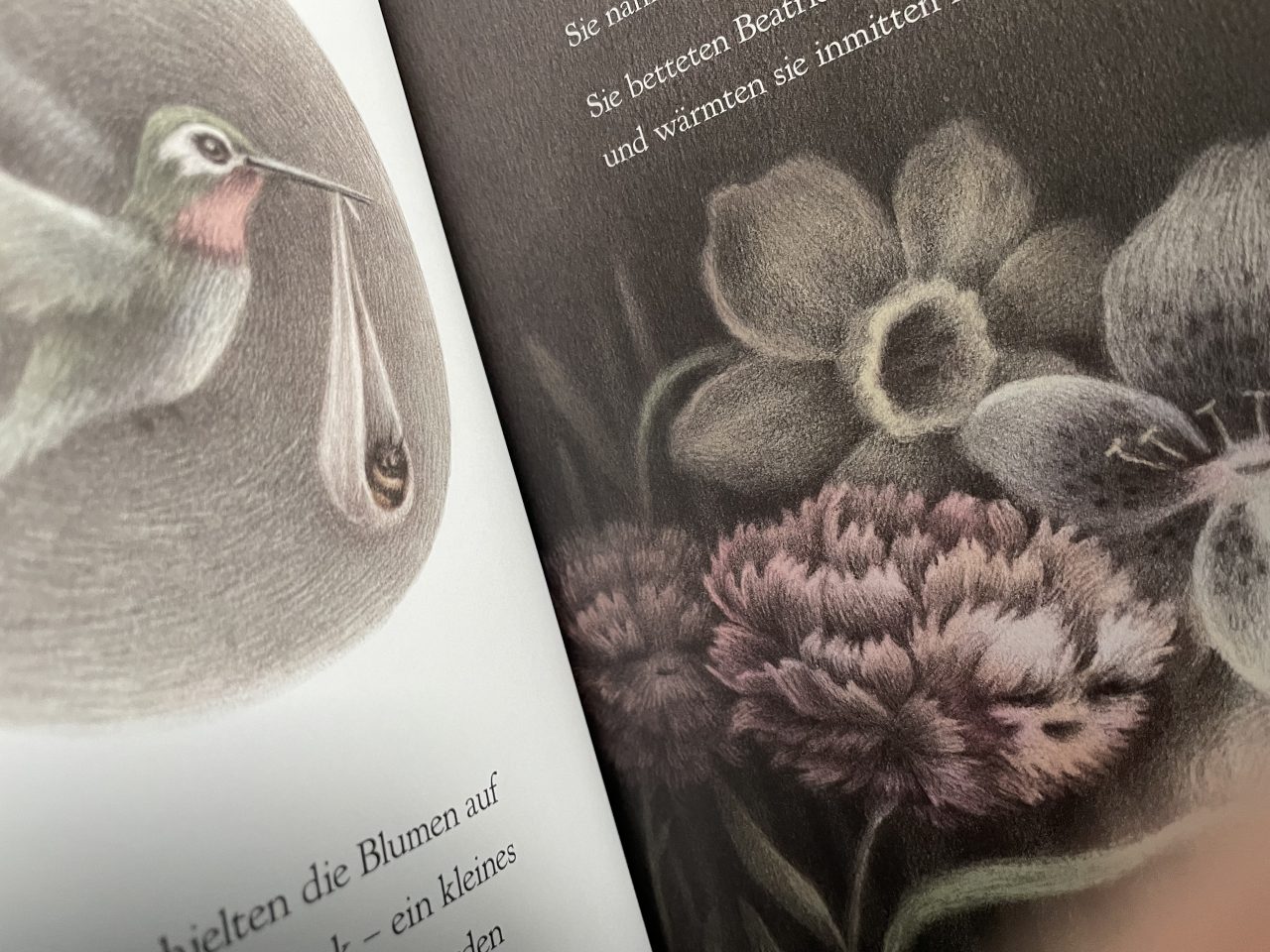 Einblick in das Kinderbuch "Die kleine Hummel und die Sprache der Blumen" mit Schrift, einem kreisrunden Bild mit Vogel und getragender Hummel und gezeichneten Blumen