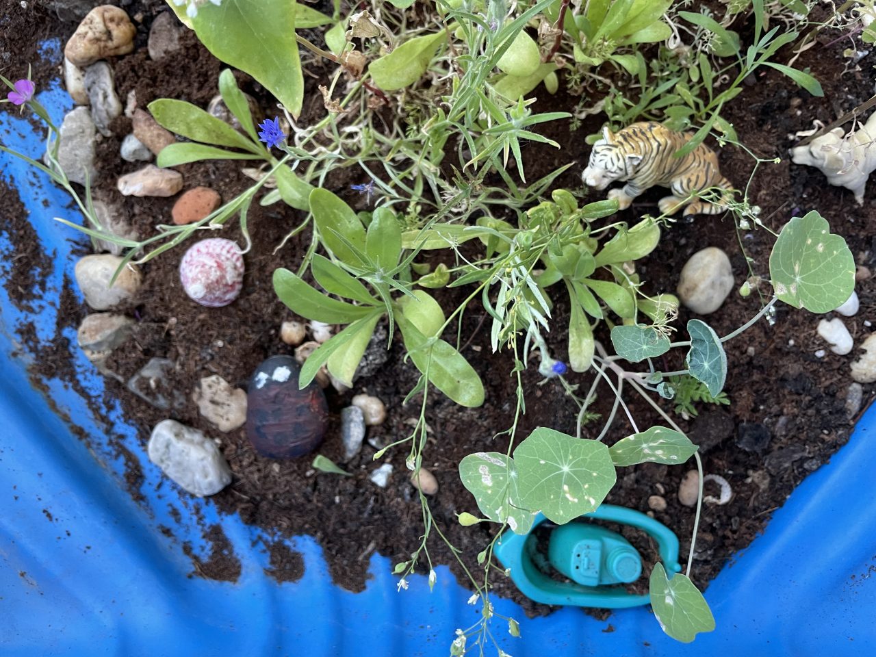 bepflanzte Plastikmuschel mit kleinem Bötchen und Steinen versehen