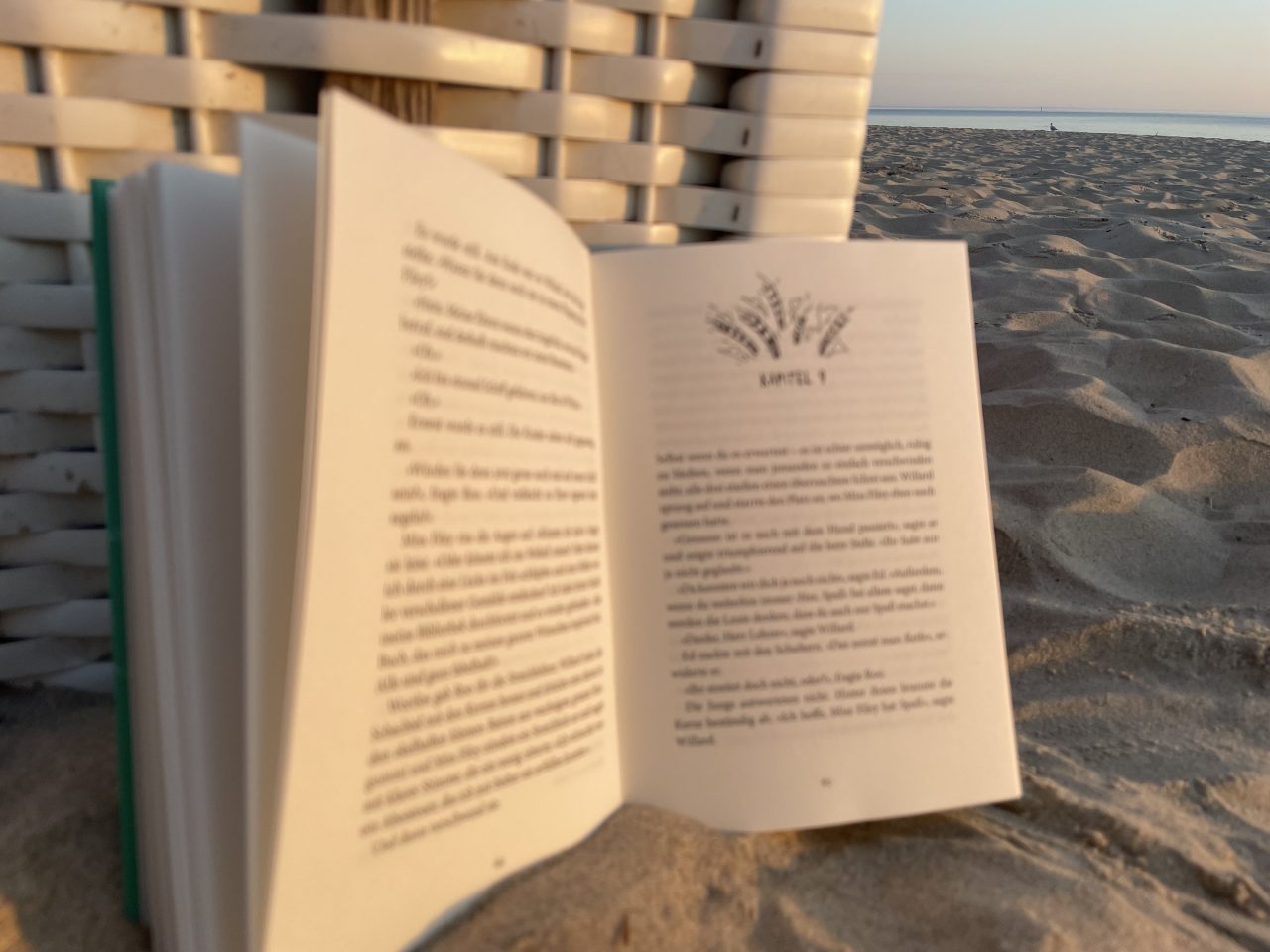 aufgeschlagenes Kinderbuch an einen Strandkorb gelehnt im Sand mit dem Meer im Hintergrund