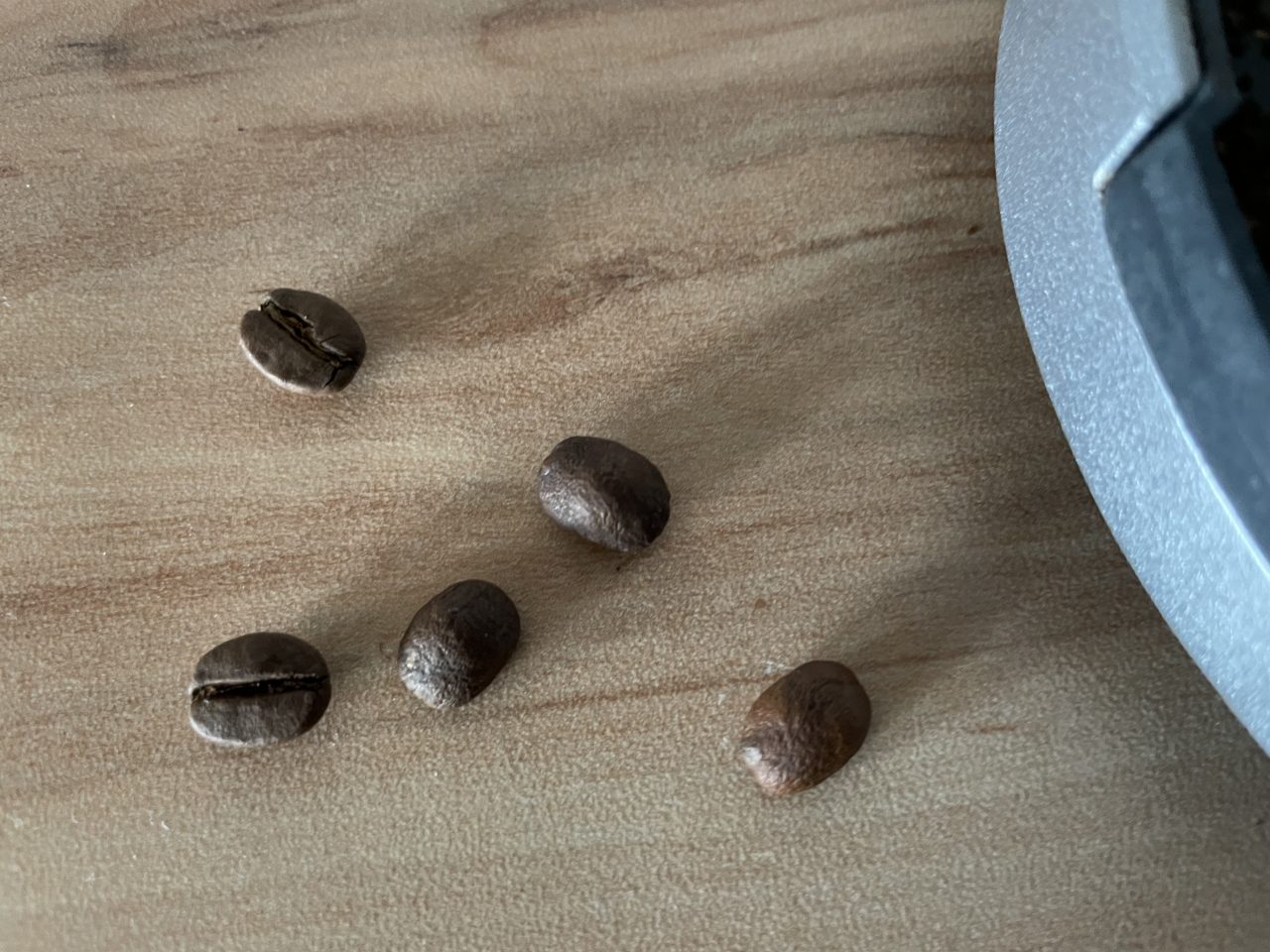 5 Kaffeebohnen auf einer Arbeitsplatte