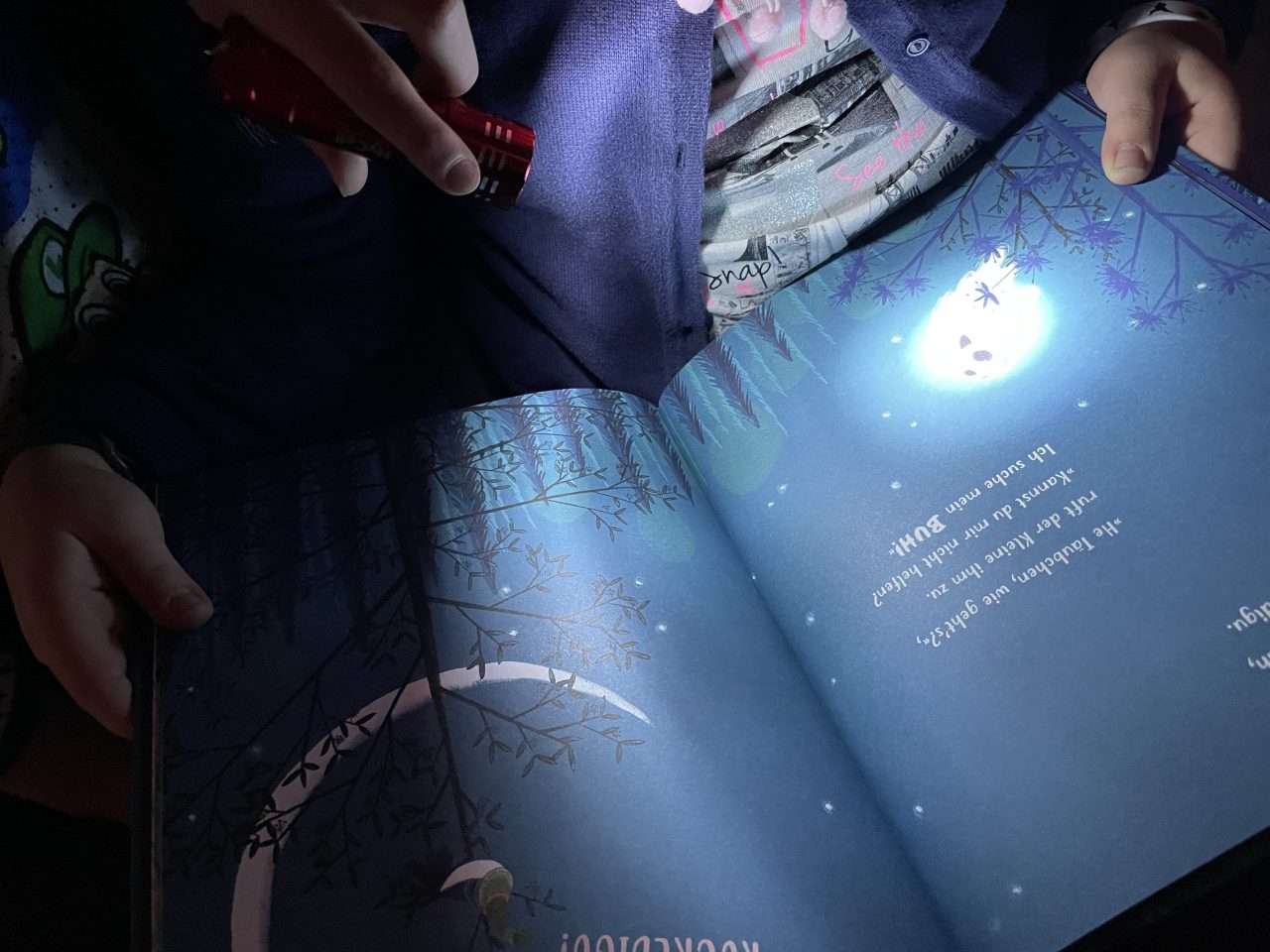 ein Kind, was kaum zusehen ist, hält das Kinderbuch "Der kleine Geist, der sein BUH verlor" und ein zweites Kind hält eine Taschenlampe auf die Seite gerichtet