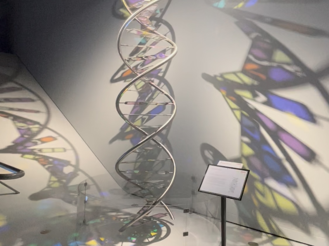 "DNA"- Helix kunstvoll und überdimensional dargestellt und so beleuchtet, dass bunter Schattenwurf links und rechts zu sehen ist