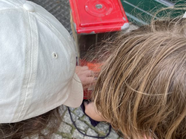 Zwei Kinderköpfe vor einem Kaugummiautomaten