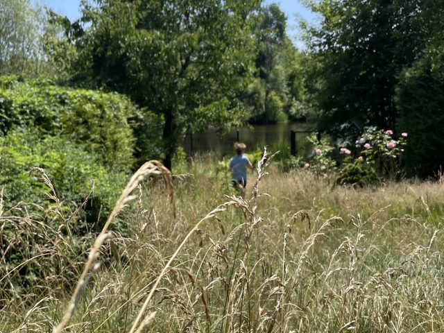 Wuchender Garten mit Bäumen und hoher Wiese mit einem rennenden Kind