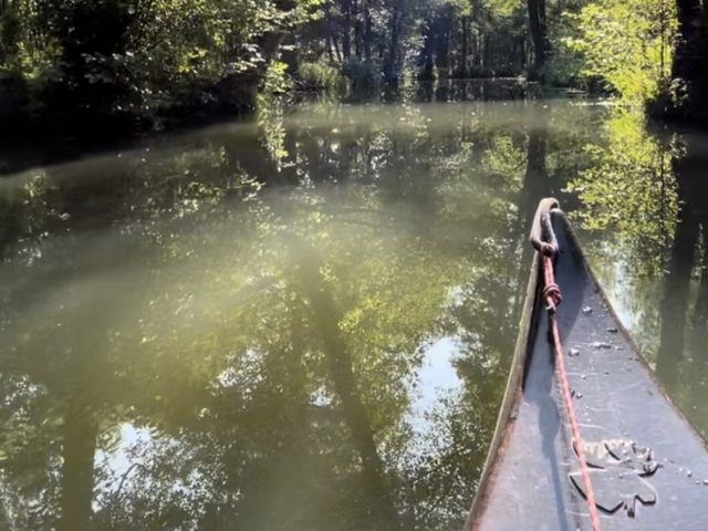 Im Spreewald ein Boot auf dem Wasser im Sommer