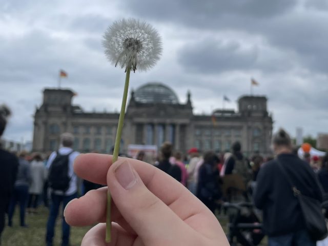 Pusteblume in Kinderhand vor dem Bundestag 