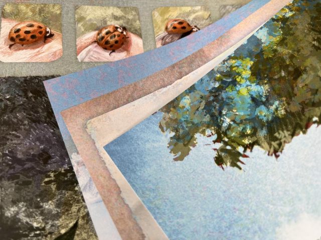 Natur- und Marienkäferdarstellung als Innenansicht des Bilderbuches "Momo"